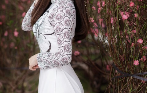 探索人工受孕，技术、地点与选择